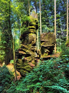 Rock towers in the forest, Teuflische Acht hiking trail, Ferschweiler Plateau, Naturpark Südeifel,
