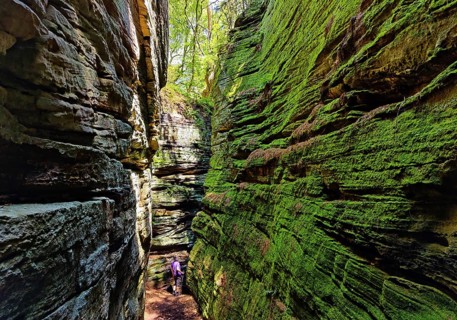 The Grüne Hölle gorge, hiking trail in the red sandstone in the Sauerschweiz, Southern Eifel nature