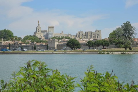 View over the Rhône to cityscape with papal palace and historic city wall, Rhone, Avignon,