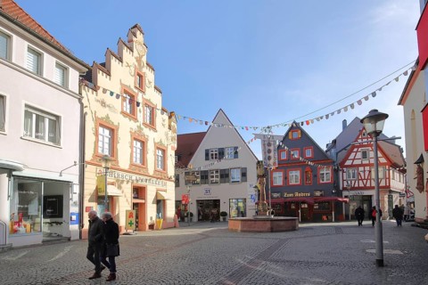Fish market with historic stag pharmacy with stepped gable and lion fountain with carnival,