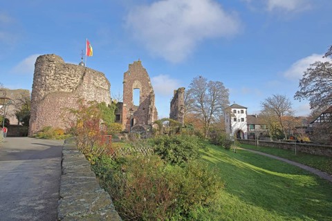 Romanesque palace of Hayn Castle and lower gate, gate tower, town gate, historical ruin,