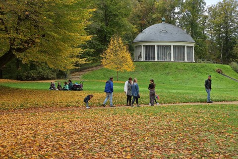 View of historic carousel with dome in autumn, walker, picnic, family outing, fallen leaves, leaf