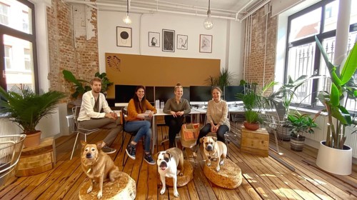 Colleagues sitting in a trendy office with dogs and plants around, creating a casual and relaxed