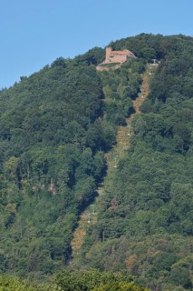 Cable car uphill to Rietburg in Edenkoben, lift, mountain, forest, aisle, slope, up, Palatinate