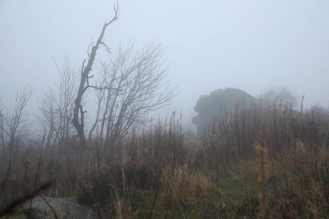 Legendary Brunhildis rock in the fog, stone figure, nature, gloomy, landscape, grey, monochrome,