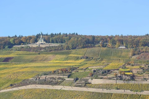 View of UNESCO Niederwald Monument with vineyards, vineyards, fields, autumn landscape, autumn,