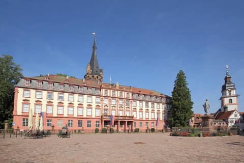 Baroque castle with tower and town church, market square with monument, Erbach, Hesse, Odenwald,
