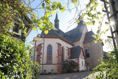 Baroque St Peter and Paul Church with vines and backlight, Hofheim, Taunus, Hesse, Germany, Europe