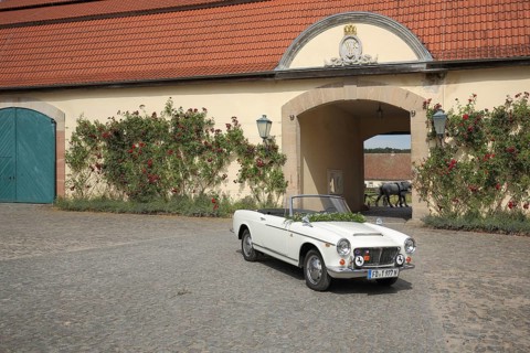 Historic white Fiat convertible in the courtyard with archway, plant growth, roses, rose hedge,