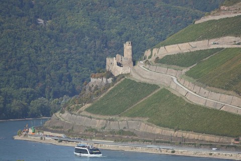 Ehrenfels Castle and Rhine with Binger Loch and boat, shipping traffic, Rüdesheim, Rheingau,