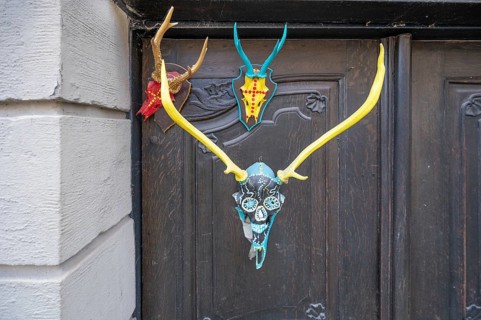 Colourfully painted antlers on a front door, Mainbernheim, Lower Franconia, Bavaria, Germany,