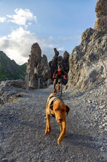 Trail dog and mountain biker in the mountains, Davos, Graubünden, Switzerland, Europe