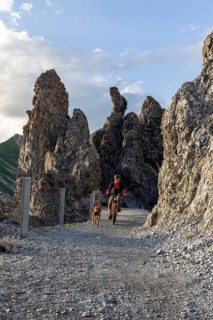 Mountain biker with traildog, man with his Vizsla on a path in the mountains, Davos, Graubünden,