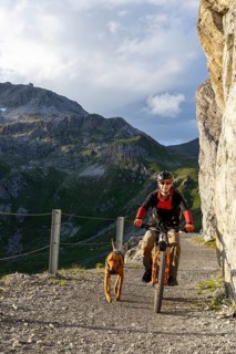Mountain biker with traildog, man with his Vizsla on a path in the mountains, Davos, Graubünden,