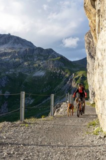 Mountain biker with traildog, man with his Vizsla on a path in the mountains, Davos, Graubünden,