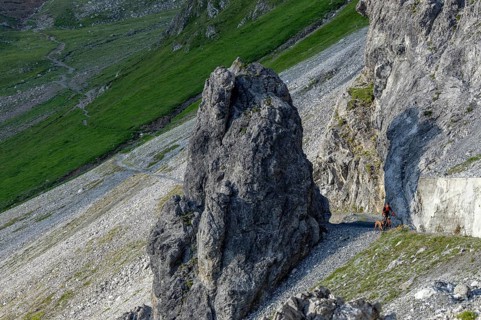 Mountain biker with traildog, man with his Vizsla on a path in the mountains, Davos, Graubünden,