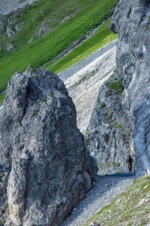 Mountain biker on a path in the mountains, Davos, Grisons, Switzerland, Europe