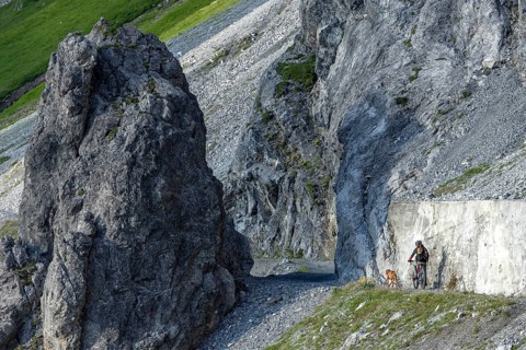 Mountain biker with traildog, man with his Vizsla on a path in the mountains, Davos, Graubünden,