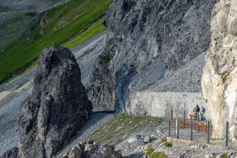 Mountain biker with traildog, man with his Vizsla on a path in the mountains, Davos, Graubünden,