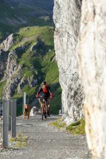 Mountain biker with traildog, man with his Vizsla on a path in the mountains, Davos, Graubünden,