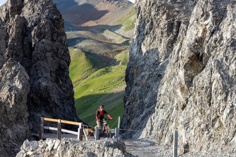 Mountain biker with traildog, man with his Vizsla on a path in the mountains, Davos, Graubünden,