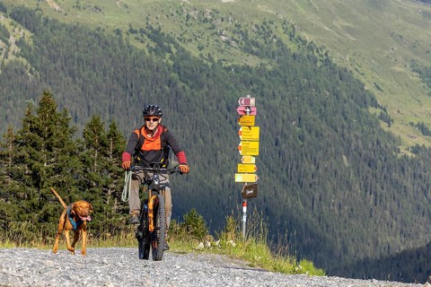 Mountain biker with traildog, man on a mountain bike with his dog, Panoramaweg, Davos, Graubünden,