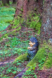 Troll leaning against a tree trunk in a forest with green moss and wood sorrel (Oxalis acetosella)