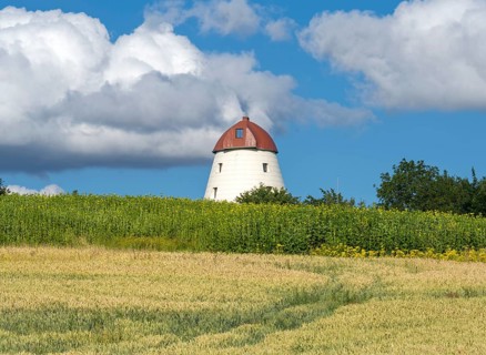 Windmill with grain field Escher Auetal Germany