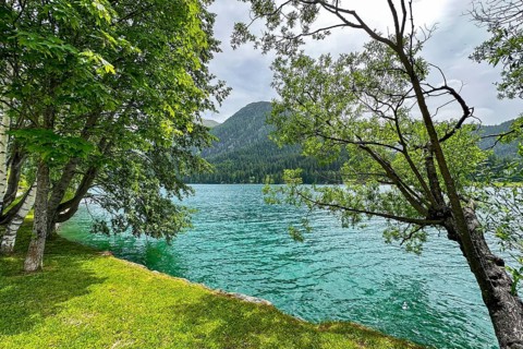 A calm lake with a green shore and trees in the foreground, nestled in wooded mountains, Davos,