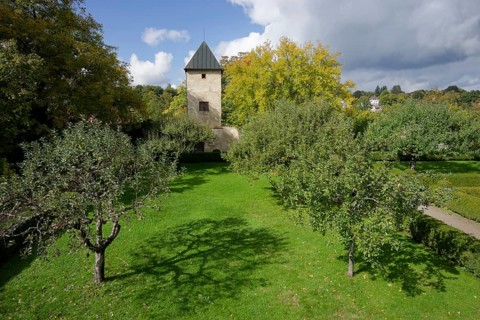 Castle garden in Starnberg, Lake Starnberg, autumn, golden October, fruit trees, fruit tree, apple