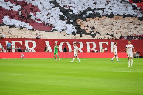 2nd Bundesliga, 1.FC Köln, HSV Hamburg on 02/08/2014 at RheinEnergieStadion in Cologne Germany .