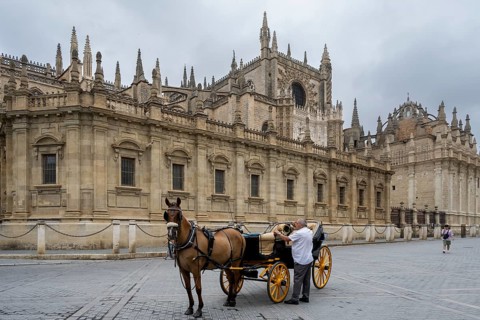 Horse-drawn carriage in front of Seville Cathedral, Catedral de Santa Maria de la Sede, Seville,