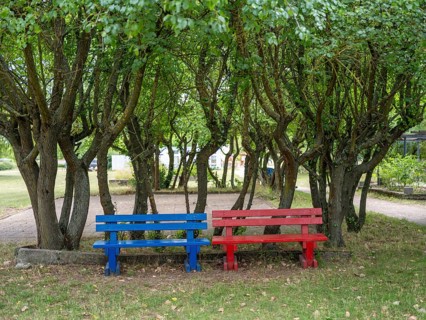 A blue and a red wooden bench under trees at Lake Jersleben next to a campsite, Jersleben,