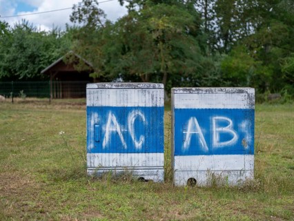 Electricity boxes with the spray-painted letters AC and AB on Lake Jersleben next to a campsite,