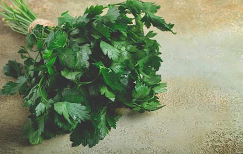Bunch of parsley, on the table, top view, no people