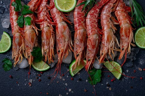 Langoustines, Australian, freshly frozen on ice, top view, lime and greens