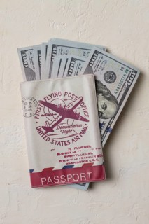 International passport, with dollars, bills inside, top view, no people