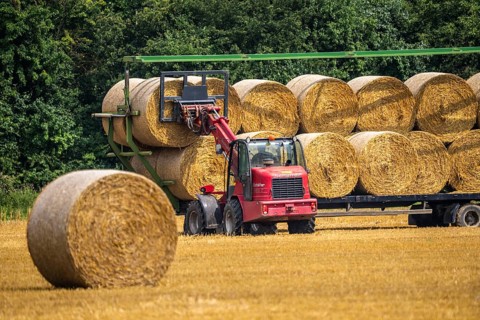 Straw bales, round bales, are loaded onto a trailer after the grain harvest, near Neuss North