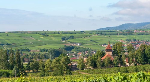 View of the Geilweilerhof in summer, Siebeldingen, German or Southern Wine Route, Southern