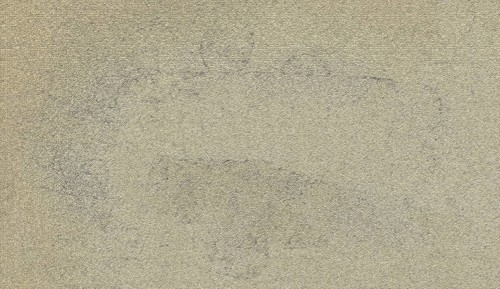 Rough, textured surface with a light beige tone, presenting a minimalistic and abstract appearance