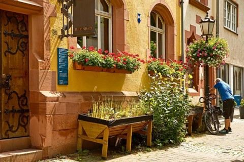 Jewish bath, historic mikvah, facade decorated with flowers, Judengasse, Jewish quarter, old town,