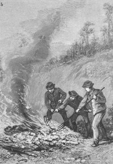Pine processionary moth, Thaumetopoea pinivora, Traumatocampa pinivora, Burning of the spun bales