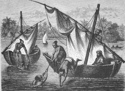 Pearl fishermen in India, c. 1895, Historical, digitally restored reproduction from a 19th century