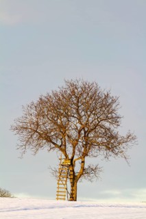 A single tree with a high stand, high seat, surrounded by a snow-covered landscape under a clear