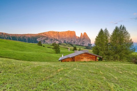 Alpine hut in front of Schlern, Seiser Alm, sunrise, Dolomites, South Tyrol, Italy, Europe
