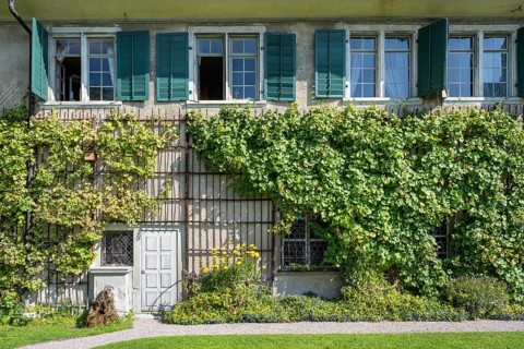 Detail of an old residential building with vines on the façade, Ittingen Charterhouse,