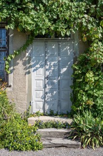 Old wooden door surrounded by vines, Ittingen Charterhouse, Warth-Weiningen near Frauenfeld, Canton