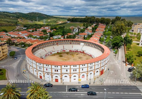 Aerial view of a historic bullring with red roofs in the middle of a city, surrounded by green