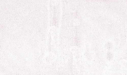 An abstract, minimalistic white background with a grainy texture