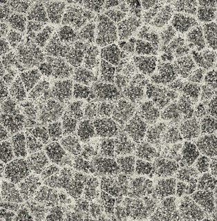 Abstract black and white cracked texture resembling a mosaic of irregular shapes